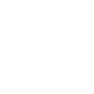 Feed The Birds